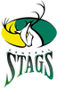 CS Logo
