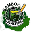 Bamboo Blasters Flag