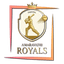 Amaravati Royals Flag