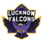 Lucknow Falcons-logo