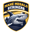 MMS Logo