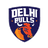 Delhi Bulls-logo